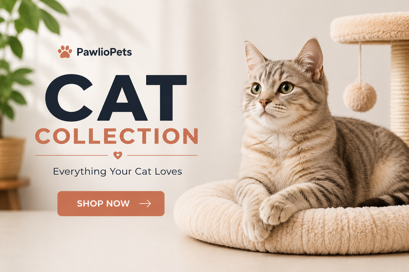Cat Collection