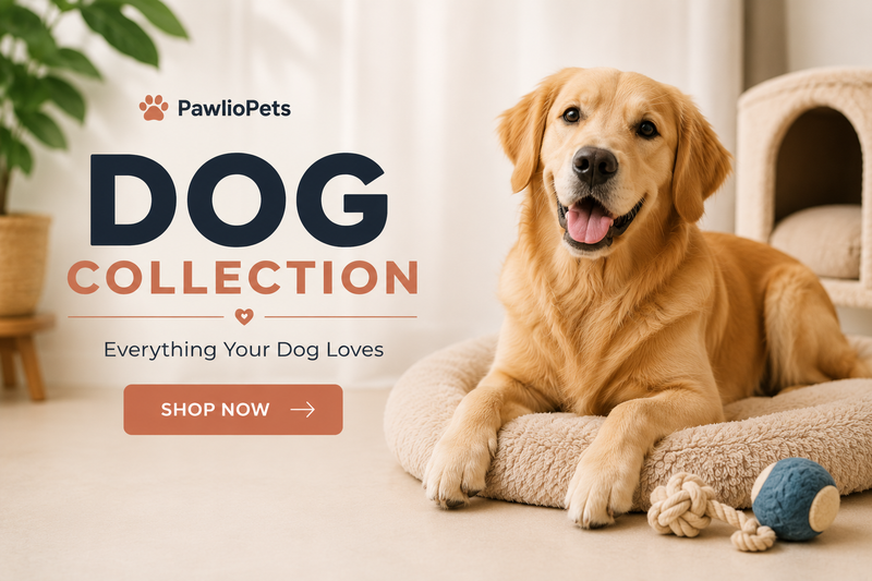 Dog Collection