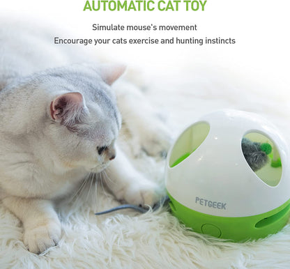 Interactive Hidey Mouse Cat Toy with Squeaky Mouse – Green