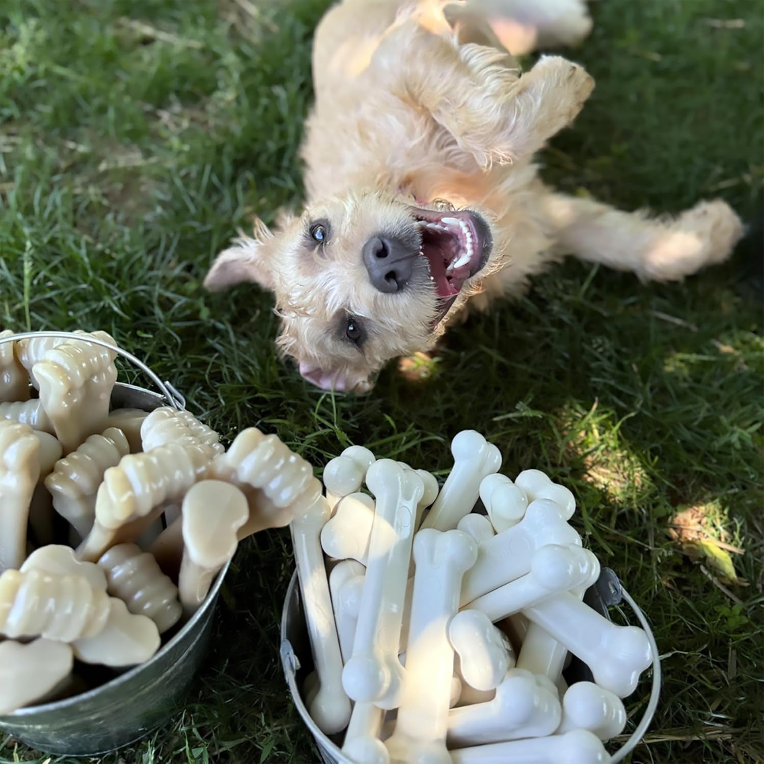 Durable Bone Chew Toys for Aggressive Chewers – Bacon & Chicken Flavor (2 Pack, Medium)