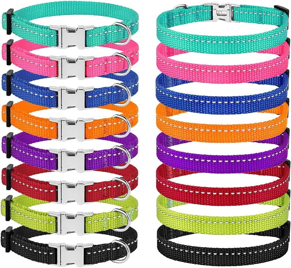 Adjustable Reflective Nylon Dog Collar – Small (7"–11")
