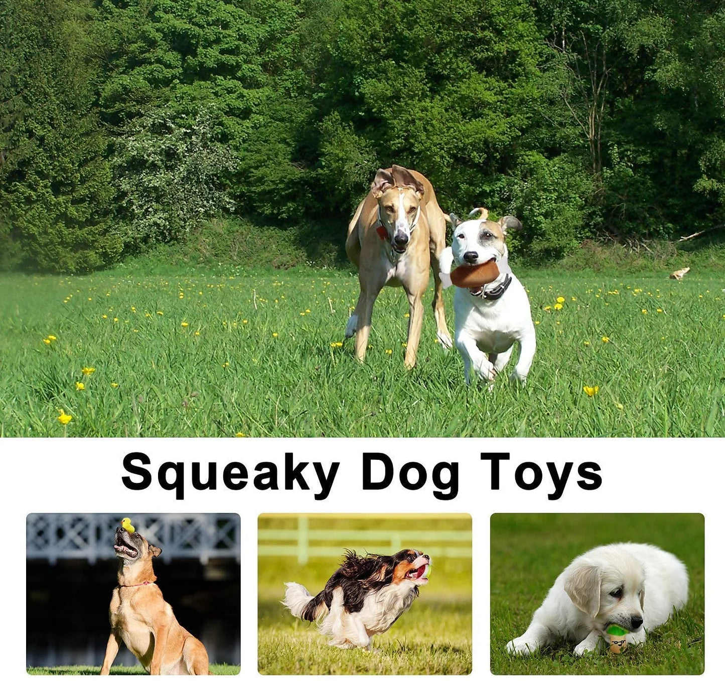 14-Pack Plush Squeaky Dog Toys – Fruits & Vegetables Set