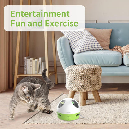 Interactive Hidey Mouse Cat Toy with Squeaky Mouse – Green