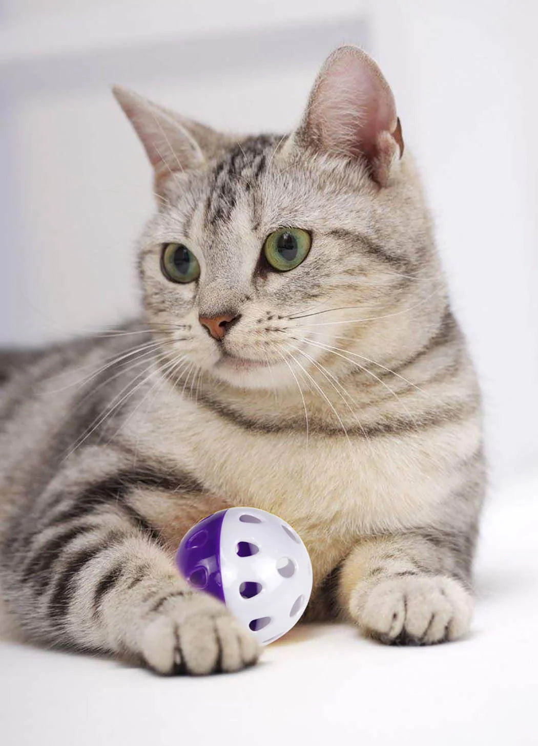 6-Piece Interactive Bell Ball Cat Toy Set