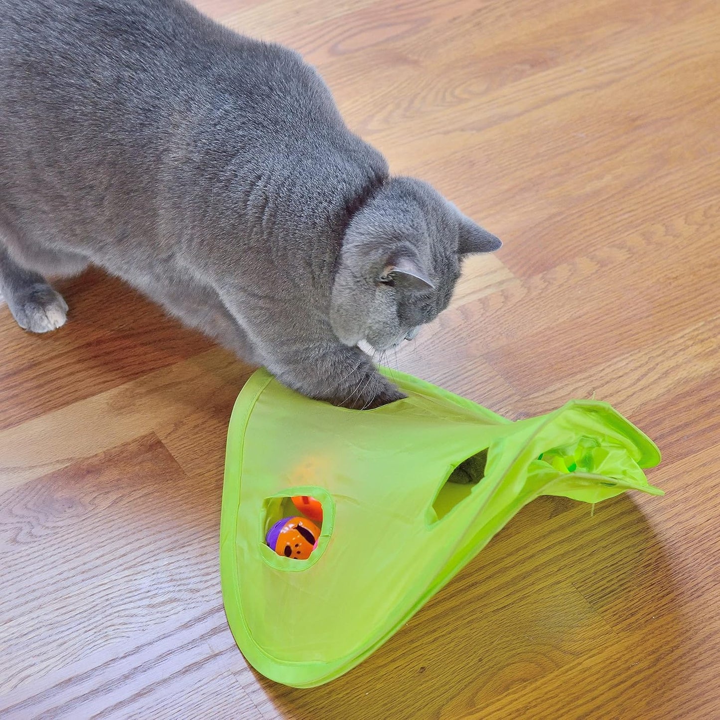18-Piece Interactive Cat Toy Assortment – Wand, Balls & Bell Toys