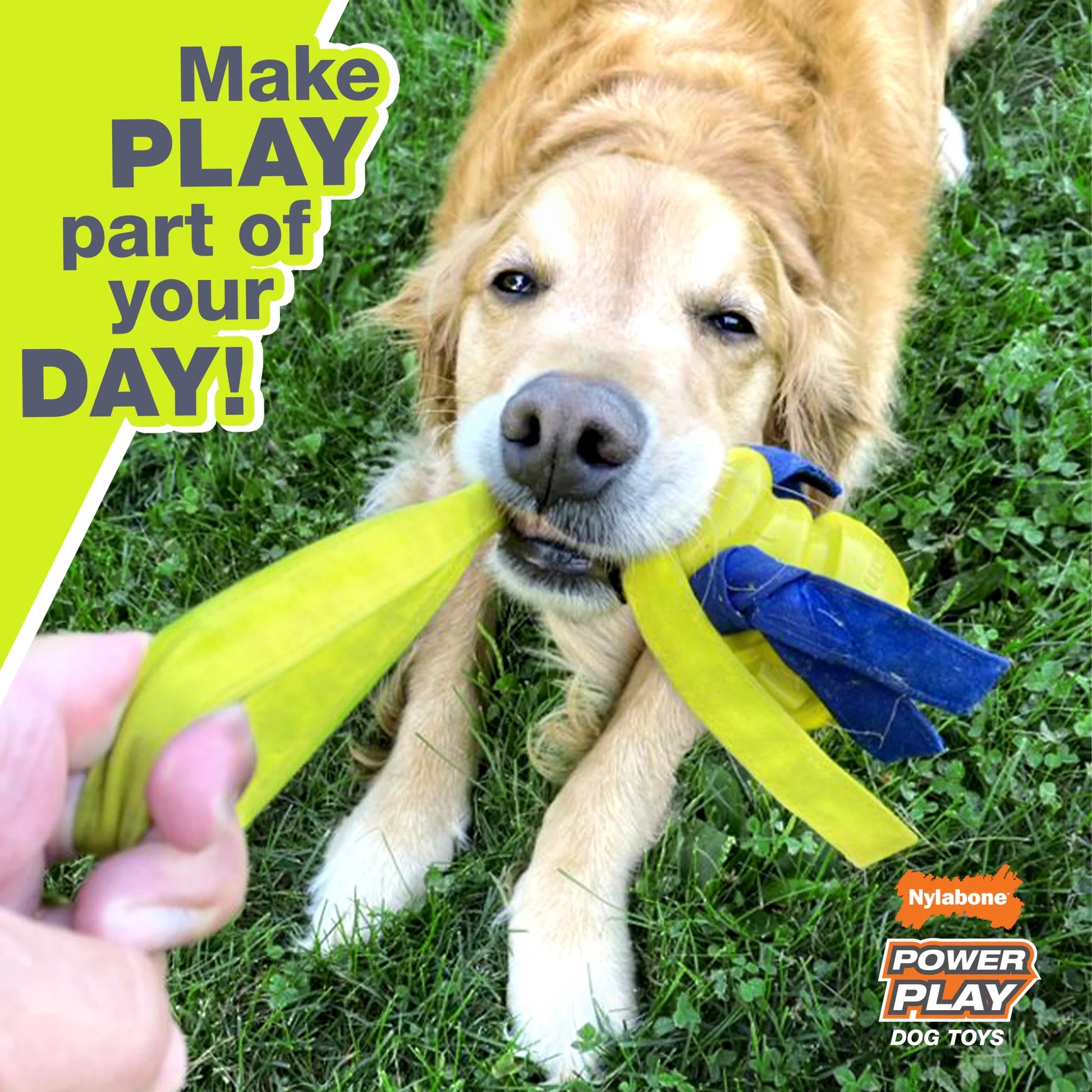 Power Play Crazy-Ball Dog Toy, Dog Balls, Interactive Dog Toys, Large