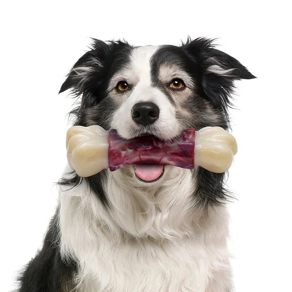 Tough Chew Bone Dog Toy for Large Aggressive Chewers